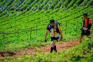 BIB: 2136
                            <button type="button" onclick="openModal(19163599)" class="btn btn-primary btn-sm float-right btn-popup" data-toggle="modal" data-target=".modal-high-quality">
                        <i class="fas fa-shopping-cart"></i> Add to Cart
                    </button>
                                            <button type="button" onclick="isThisMe(19163599, true)" class="btn btn-success btn-sm float-right btn-popup btn-isme hidden" data-toggle="tooltip" data-placement="bottom" title="นี่คือรูปของคุณใช่ไหม คลิกที่นี่เพื่อเอาเข้าอัลบั้ม">
                        <i class="fas fa-plus"></i> Add to album
                    </button>
                    <button type="button" onclick="isThisMe(19163599, false)" class="btn btn-warning btn-sm float-right btn-popup btn-isnotme hidden">
                        <i class="fas fa-ban"></i> Remove from album
                    </button>